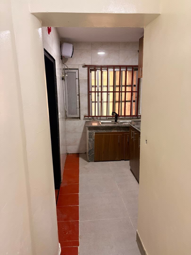 Serviced 1 Bedroom flat for rent in Victoria Island photo 4