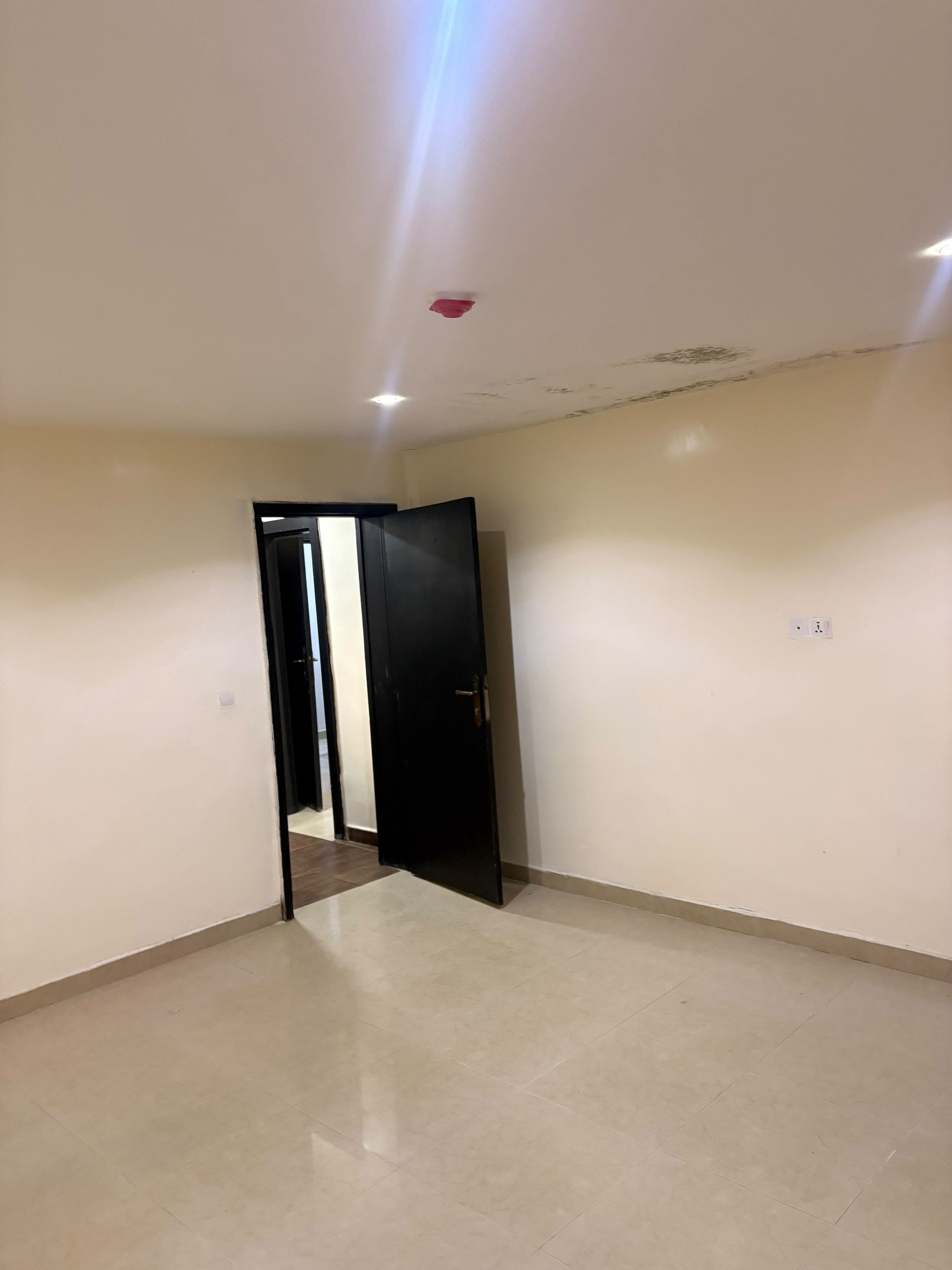 Serviced 1 Bedroom flat for rent in Victoria Island photo 6