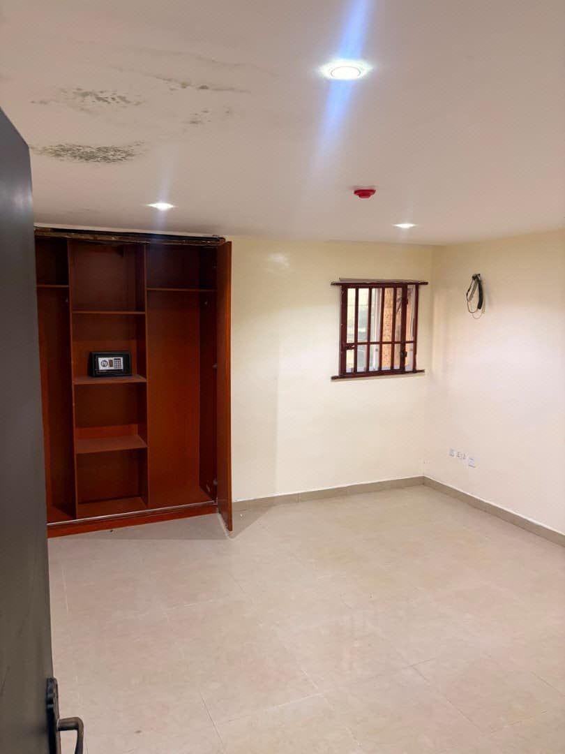Serviced 1 Bedroom flat for rent in Victoria Island photo 7