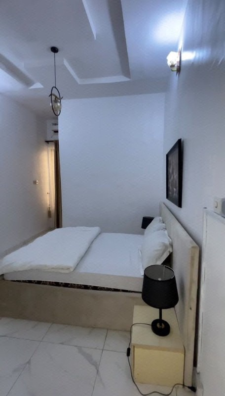 Furnished 3 Bedroom Semi detached Duplex with Bq photo 6